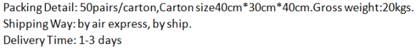 ESD slipper1824.png